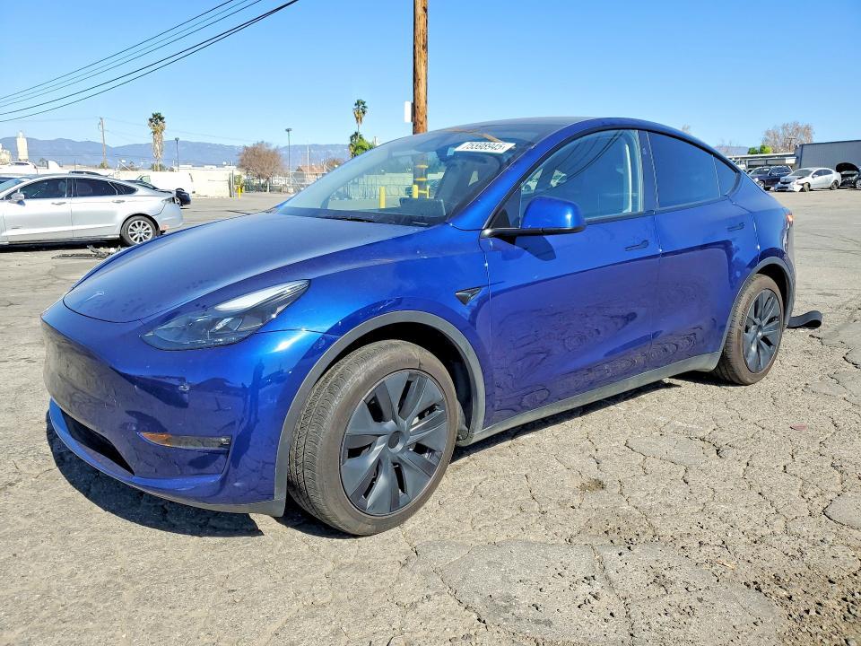 2025 Tesla Model y