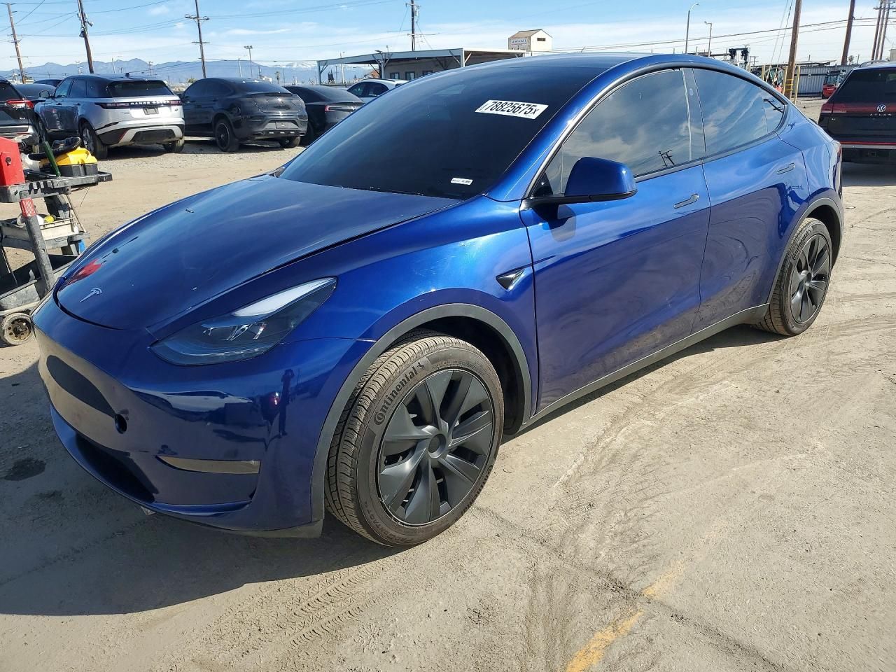 2025 Tesla Model y