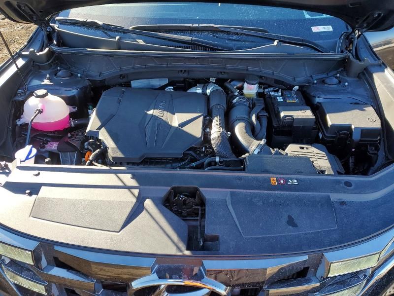 2024 Hyundai Santa Cruz Night