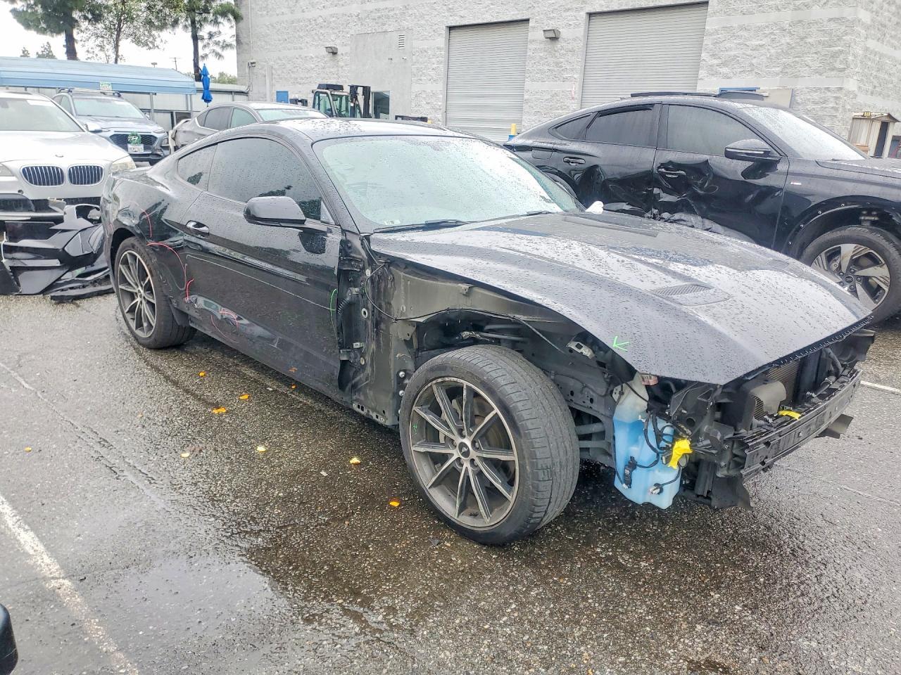 2019 Ford Mustang