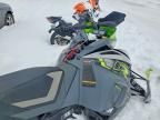 2021 Arctic Cat 800