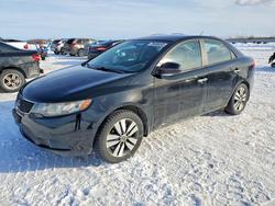 KIA Forte salvage cars for sale: 2013 KIA Forte ex