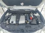 2024 Lexus Es 350 Base