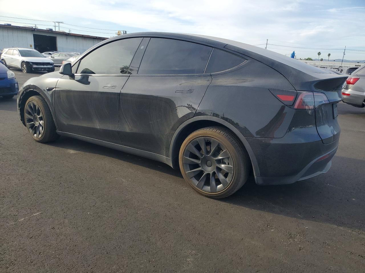 2025 Tesla Model y