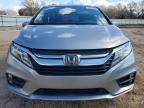 2020 Honda Odyssey exl