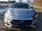 2019 Honda Insight lx