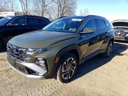 2025 Hyundai Tucson Limited for sale in Marlboro, NY