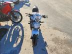 2020 Ducati Monster 797+