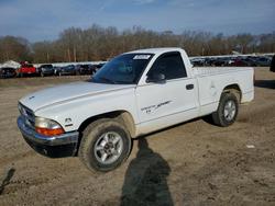 2000 Dodge Dakota for sale in Conway, AR