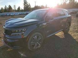 KIA Vehiculos salvage en venta: 2022 KIA Sorento Plug-in Hybrid sx Prestige