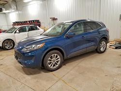 2020 Ford Escape se for sale in Ham Lake, MN