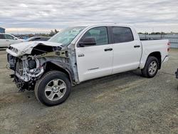 Salvage trucks for sale at Antelope, CA auction: 2021 Toyota Tundra SR5