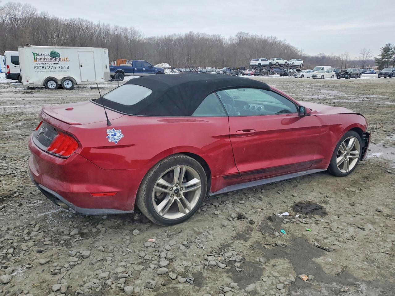 2019 Ford Mustang