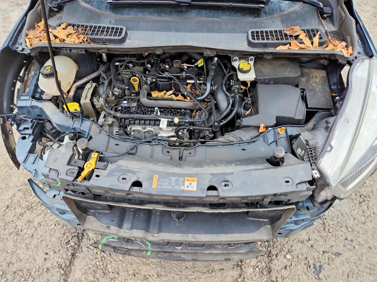 2019 Ford Escape sel