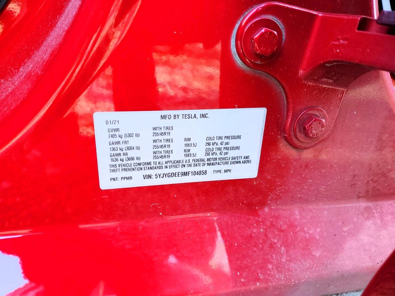 2021 Tesla Model y