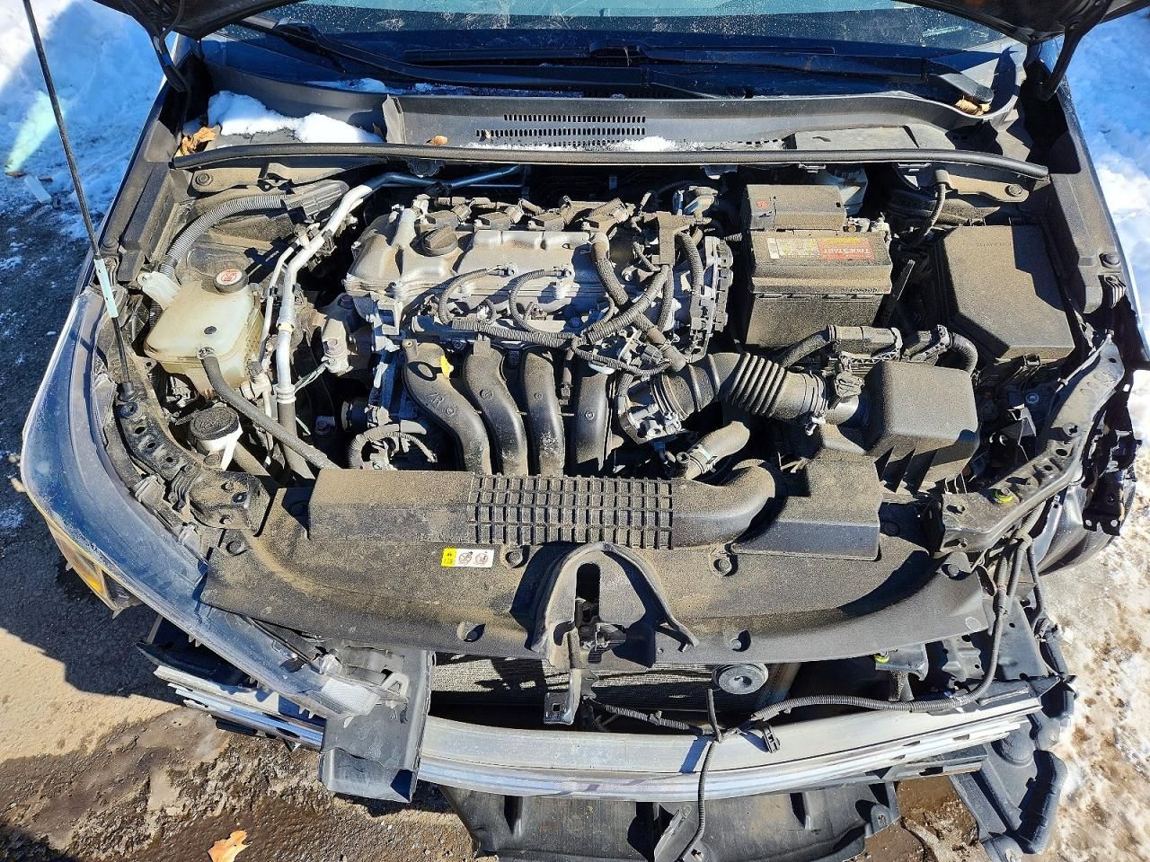 2021 Toyota Corolla le