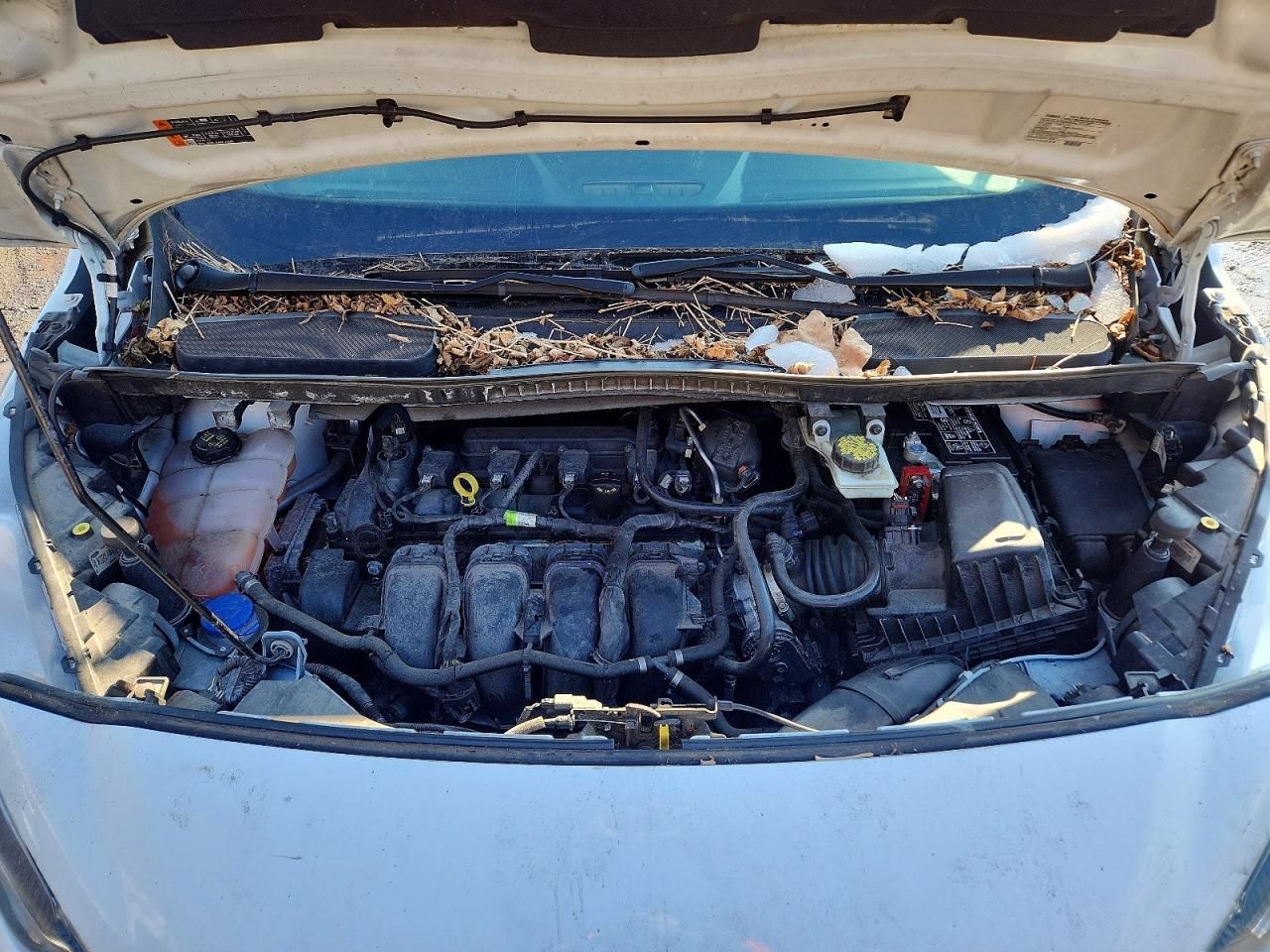 2019 Ford Transit Connect XLT