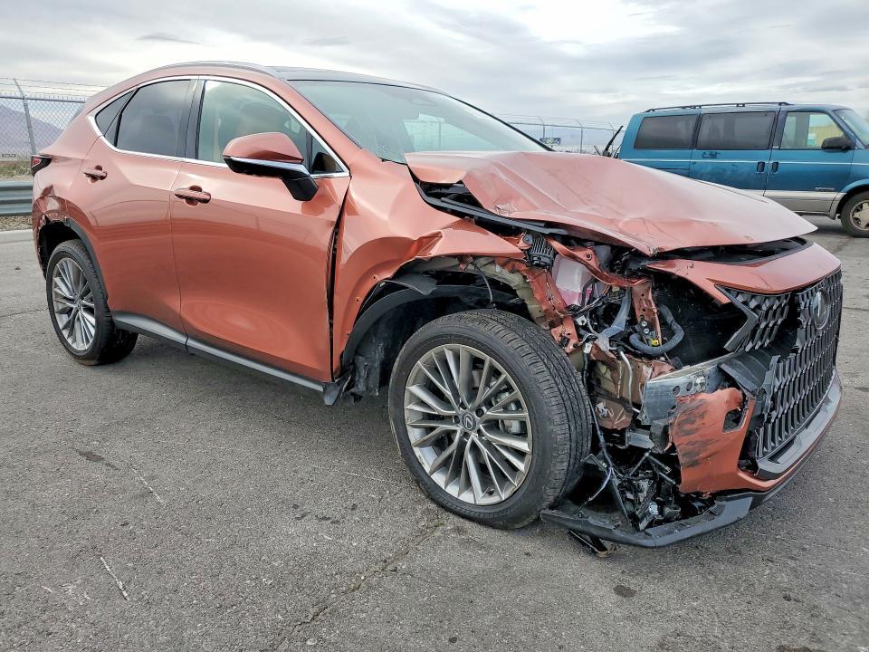 2026 Lexus Nx 350h Luxury