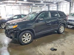 2013 KIA Sorento lx for sale in Ham Lake, MN