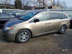 Honda Vehiculos salvage en venta: 2012 Honda Odyssey exl