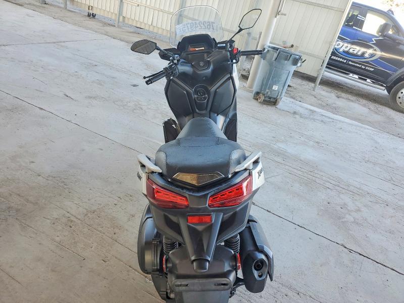 2024 Yamaha CZD300 A