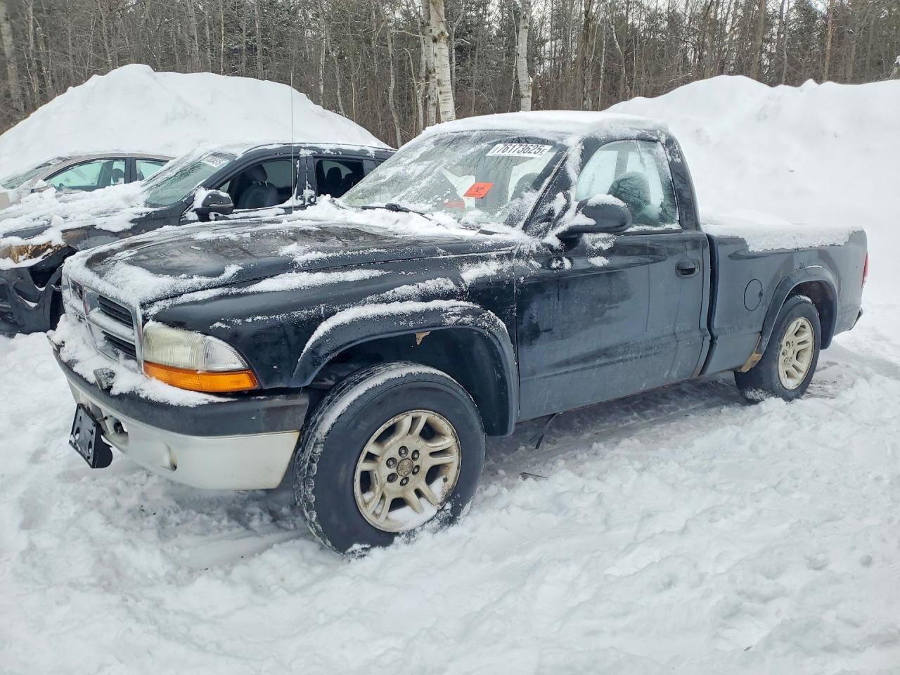 2004 Dodge Dakota Sport