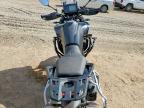 2025 Cf Moto Ibex 800 E