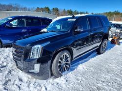Cadillac salvage cars for sale: 2019 Cadillac Escalade e
