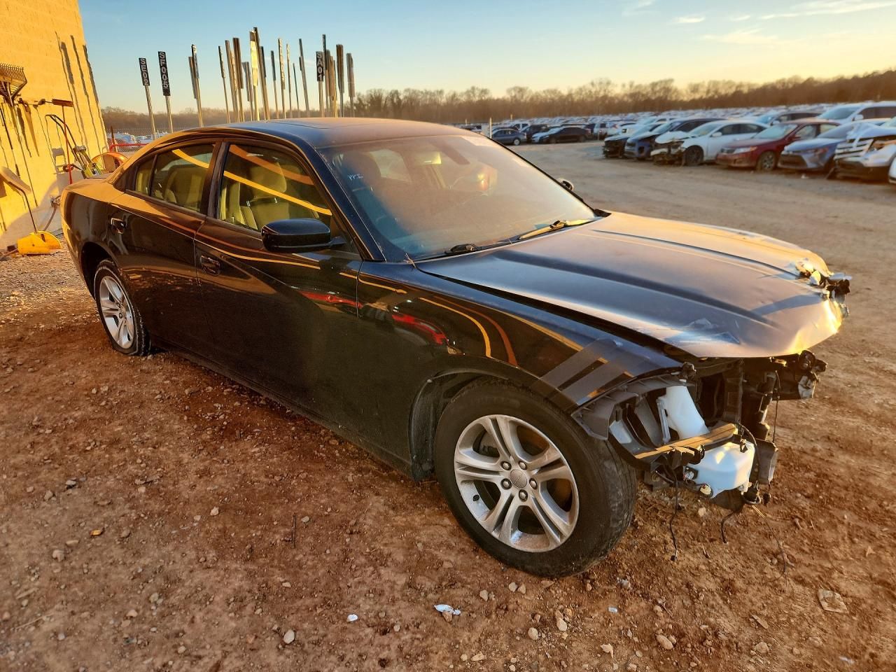 2019 Dodge Charger sxt