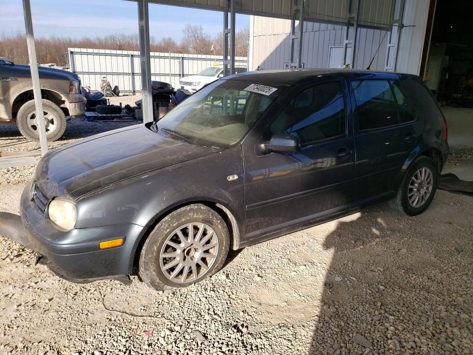 2004 Volkswagen Golf gls tdi