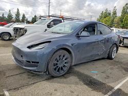 Tesla salvage cars for sale: 2023 Tesla Model y