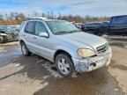 2003 Mercedes-Benz Ml 500