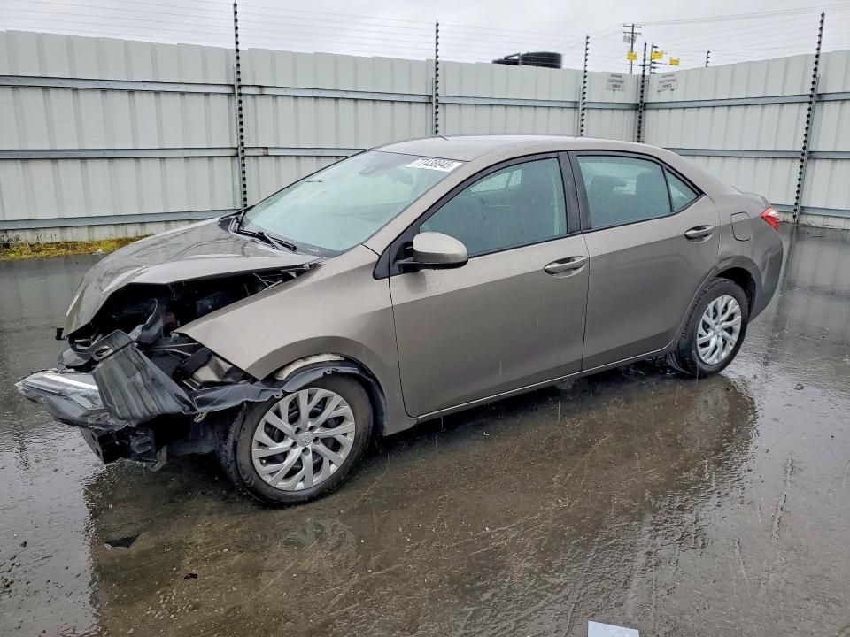 2019 Toyota Corolla l