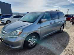 Honda salvage cars for sale: 2006 Honda Odyssey exl