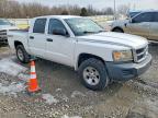 2008 Dodge Dakota sxt