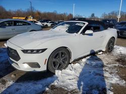 Ford Mustang Vehiculos salvage en venta: 2024 Ford Mustang
