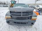 2003 Dodge Dakota SXT