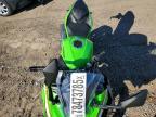 2025 Kawasaki EX500 H