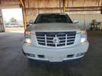2009 Cadillac Escalade Luxury
