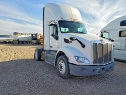 Salvage trucks for sale at Amarillo, TX auction: 2019 Peterbilt 579 Semi Truck