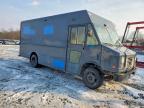 2021 Ford F59 Delivery Truck