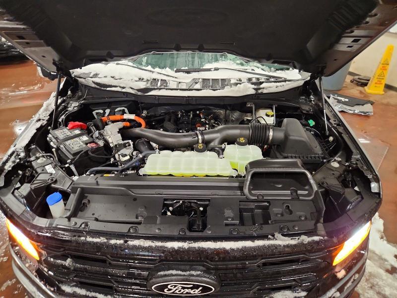 2025 Ford F150 xlt