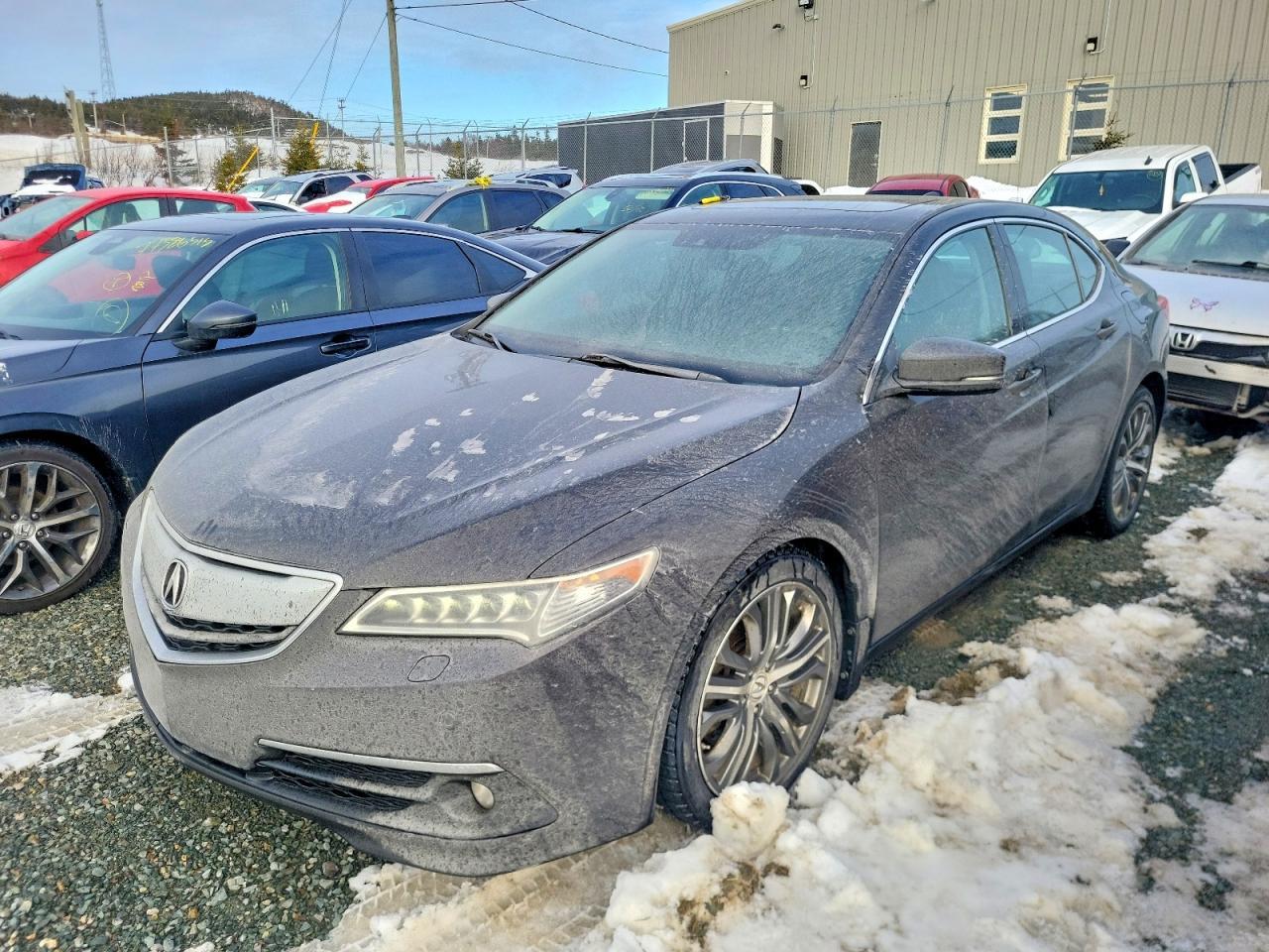 2017 Acura Tlx Advance