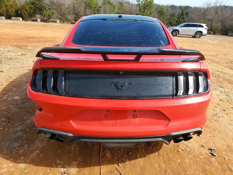 2019 Ford Mustang