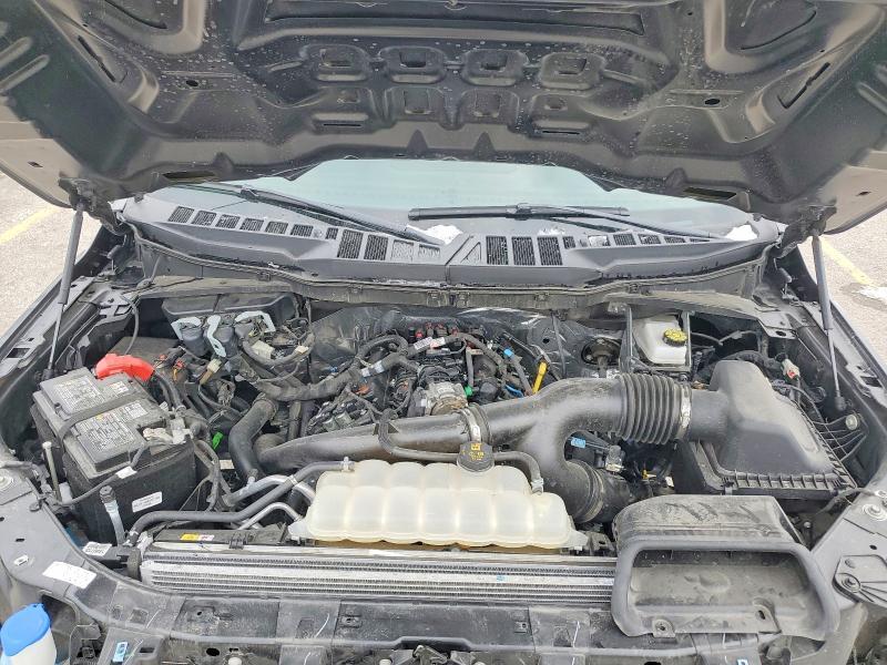 2025 Ford F150 xlt