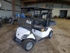 2022 Urwi 2022 Utility Vehicle