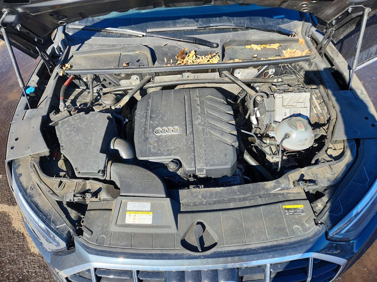 2021 Audi Q5 Premium Plus