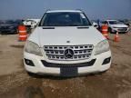 2011 Mercedes-Benz Ml 350