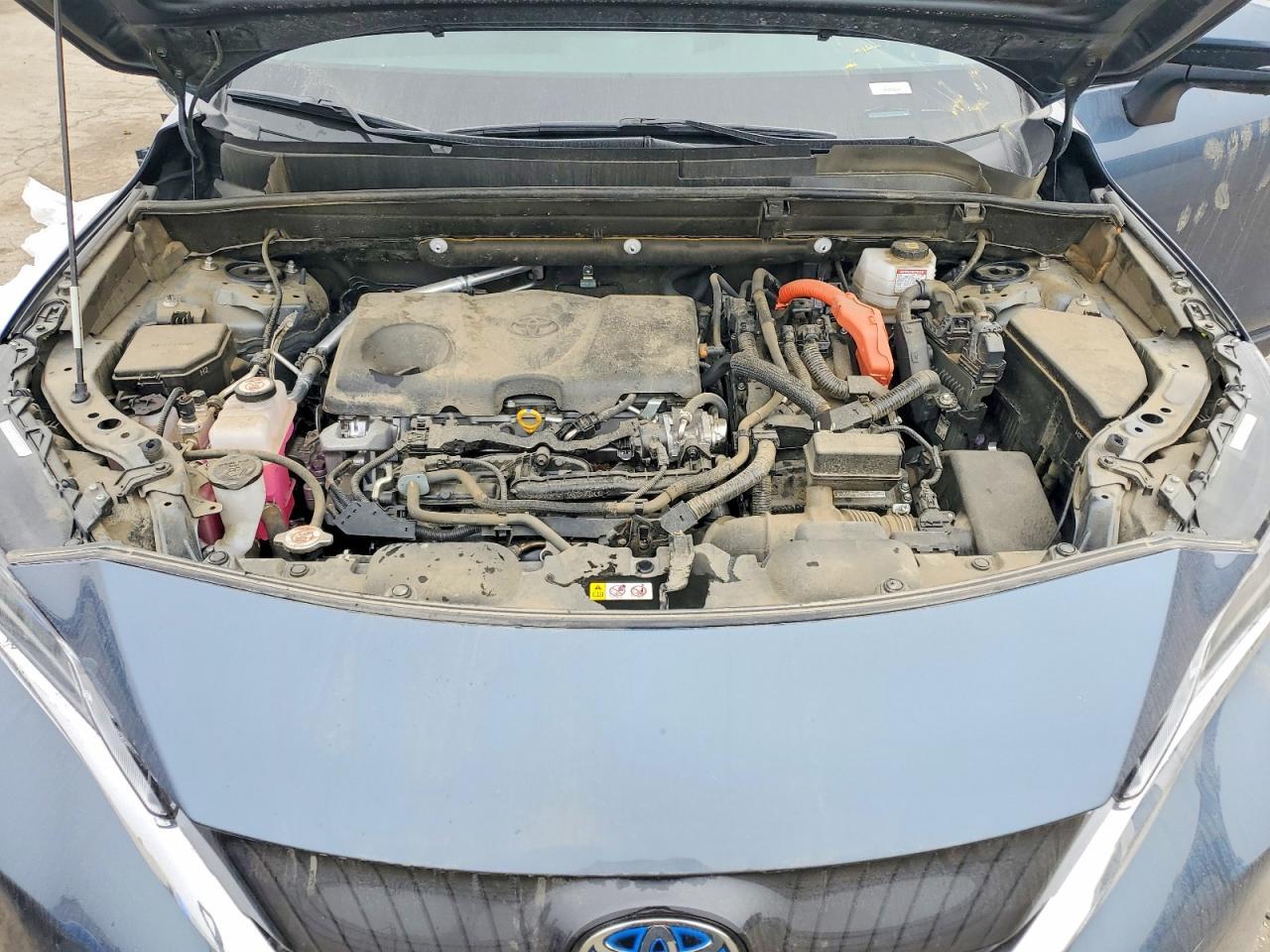 2024 Toyota Venza le