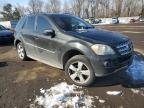2009 Mercedes-Benz Ml 350